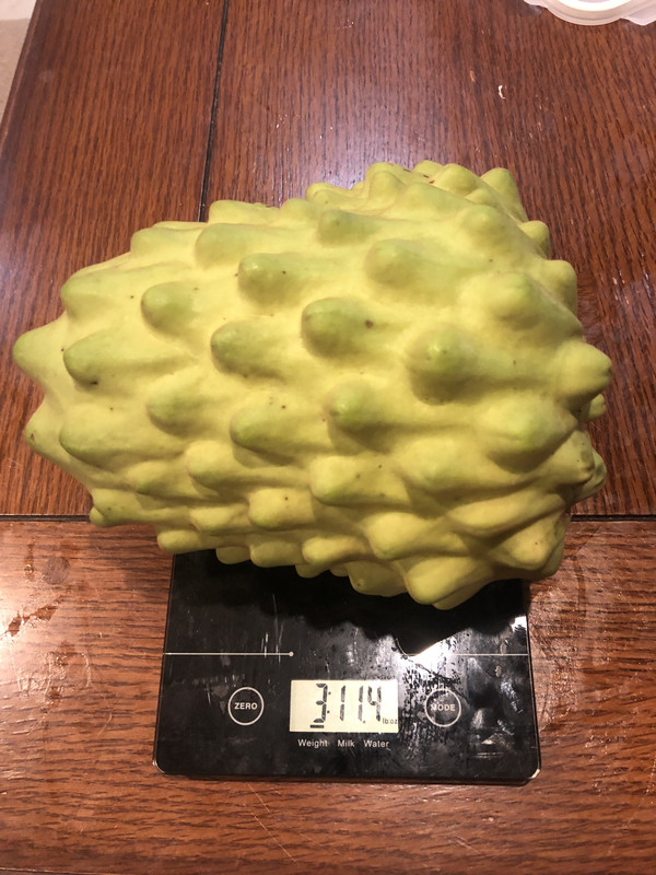 62CADE10-E23E-4765-B79B-7920C4726627