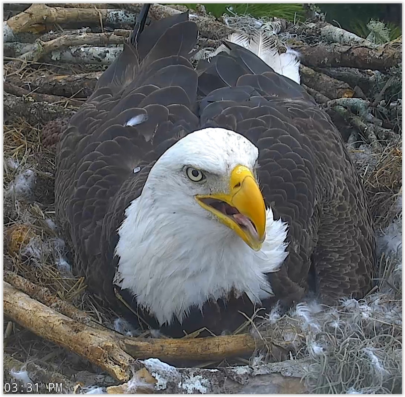 Screen Shot 02-01-20 at 07.05 PM