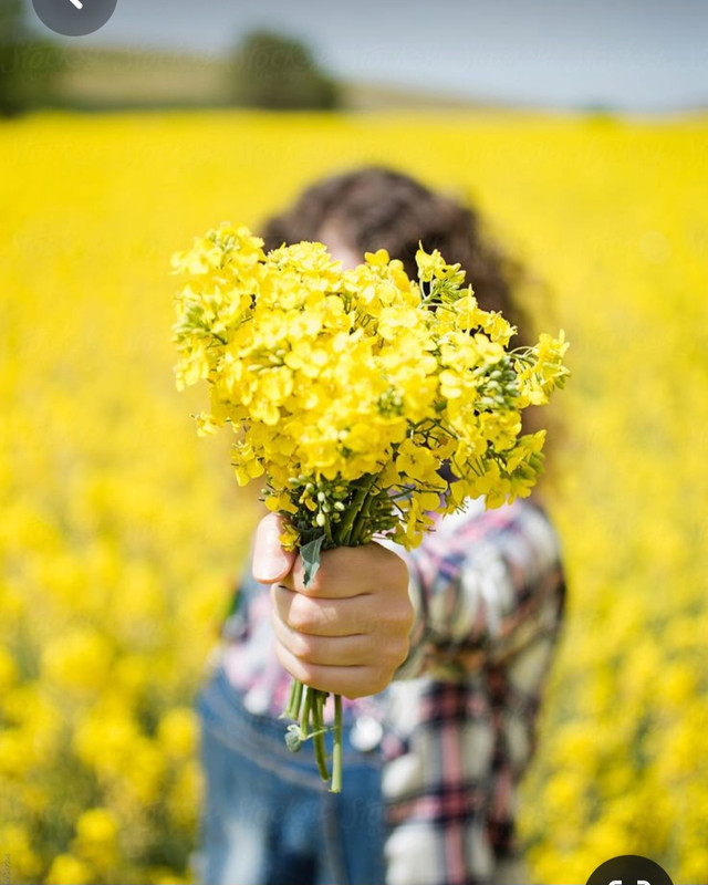 Screenshot_20230719_221415_Pinterest