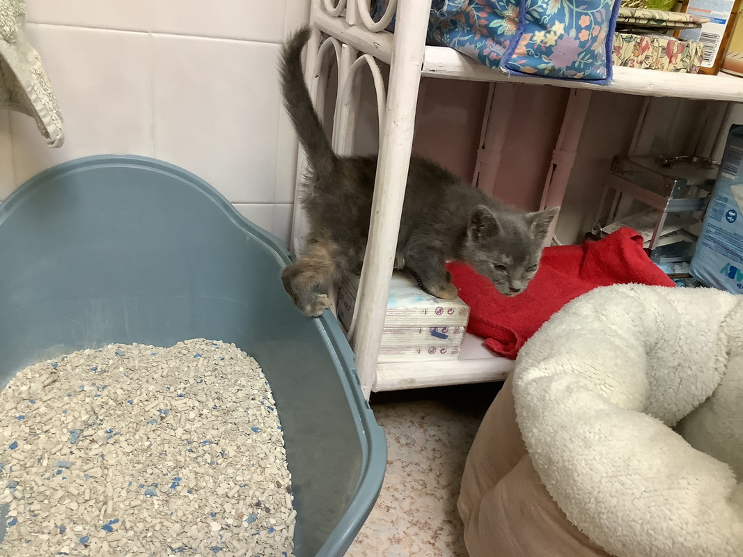 910E117E-10A9-4C33-B723-23E64B3A6FB2