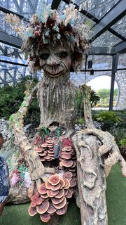 Indonesia, Singapur y Malasia 2022 - Blogs de Asia Sudeste - Día 12 y 13. Singapur (9)