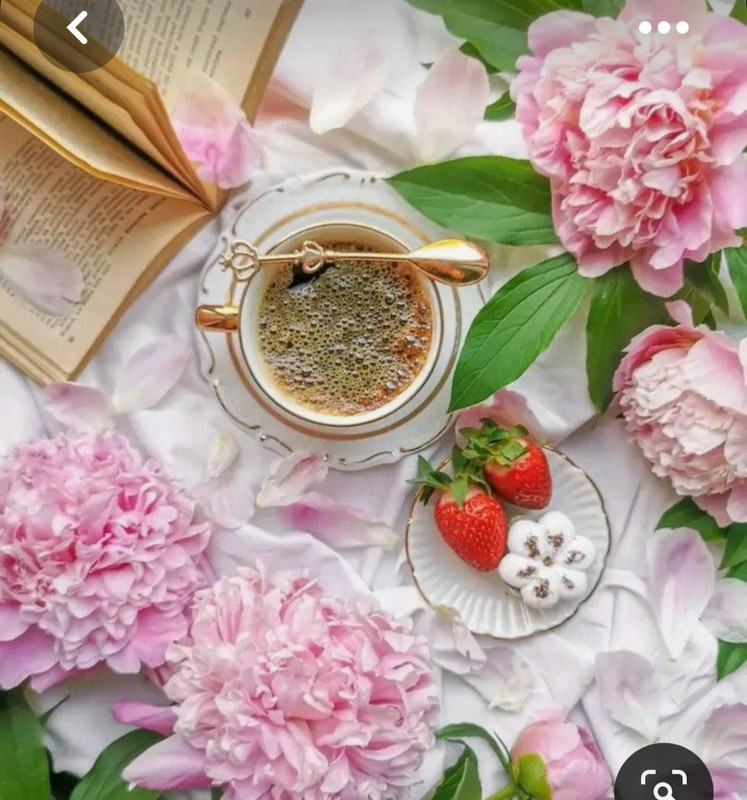 Screenshot_20230528_220658_Pinterest