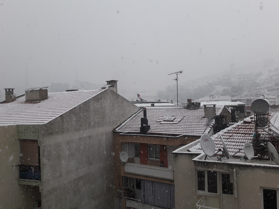 20170110-105140.jpg