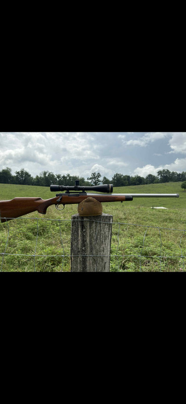 Screenshot 20251127 112223 Gallery