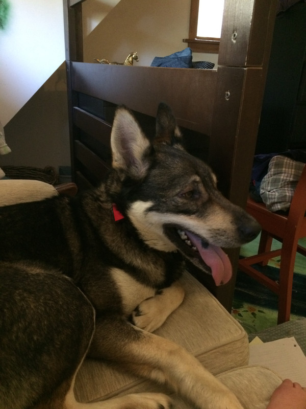 004C4735-2CA9-42E9-9B9B-F1240C940BA8