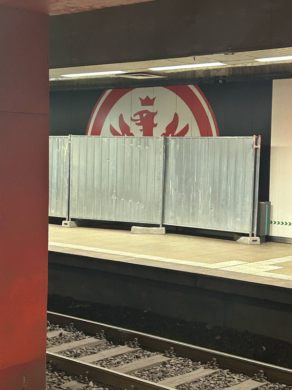 SGE2.jpg