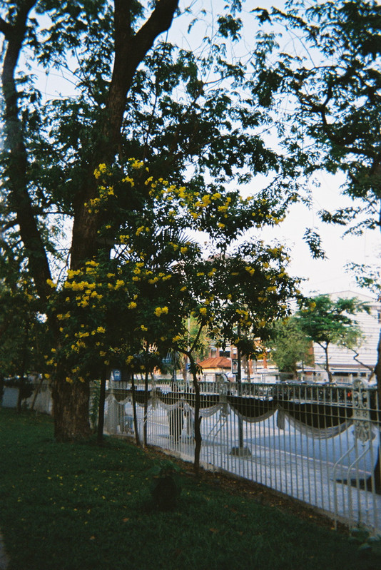 Fuji-Quick-43-resized