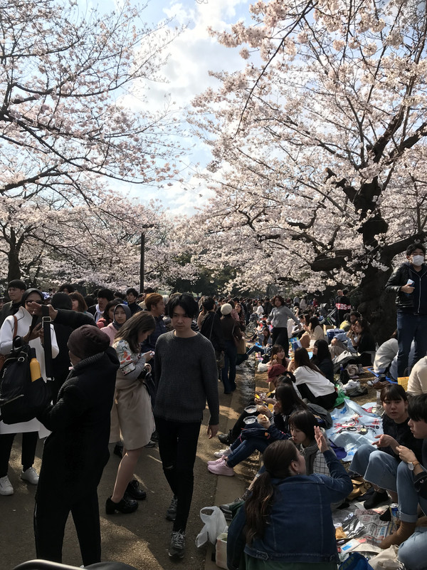 E6D88EAD-2438-4CB6-836B-718B0006A288