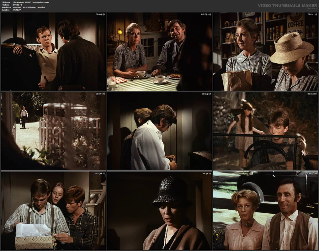 The Waltons S05E03 The Comeback.mkv