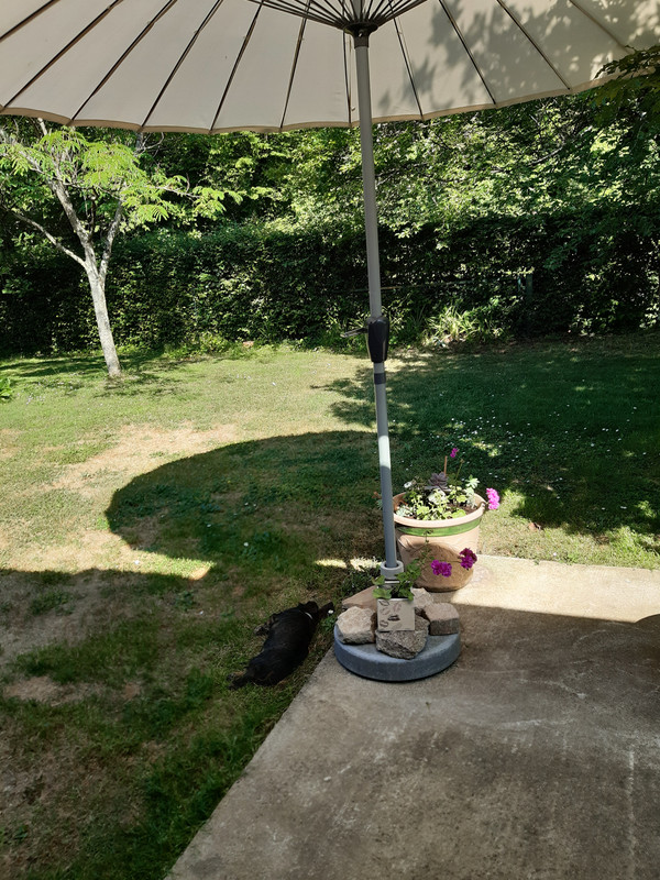 [Image: 20230607-170411.jpg]