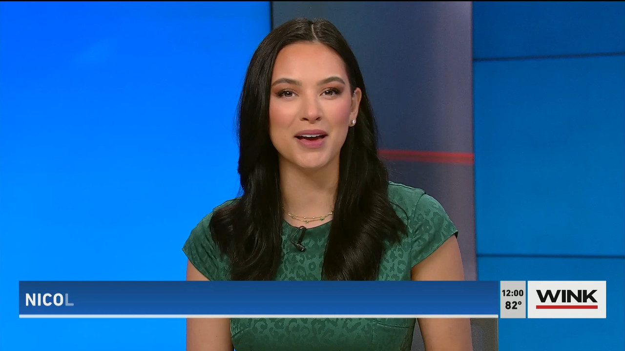 03.23 - 16.00.00 - The WINK Noon News  ᴺᵉʷ. Midday news update..ts_snapshot_06.49.081