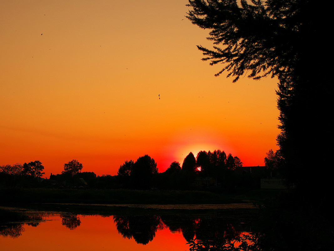 IMGP1991 - копия