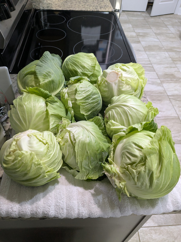 PXL_20250208_184540921.MP
