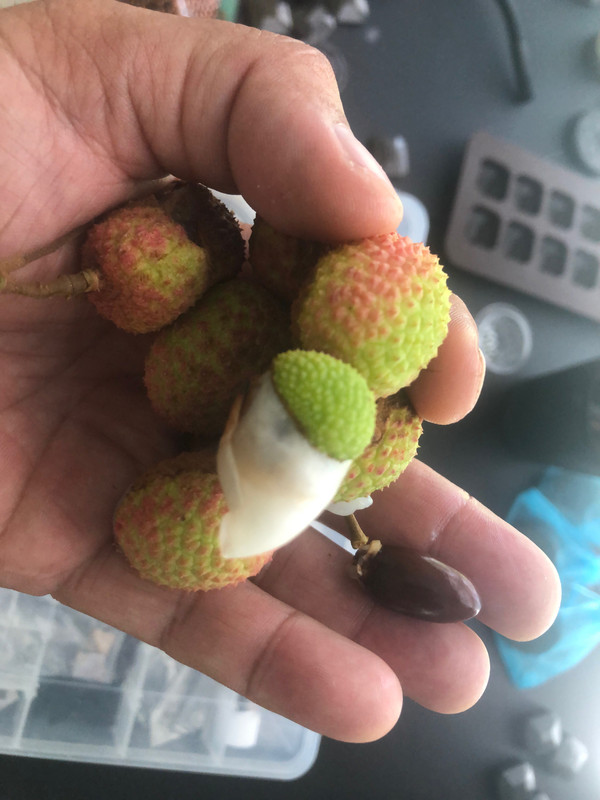 62806F70-1E36-4E39-9097-87D19378B63C