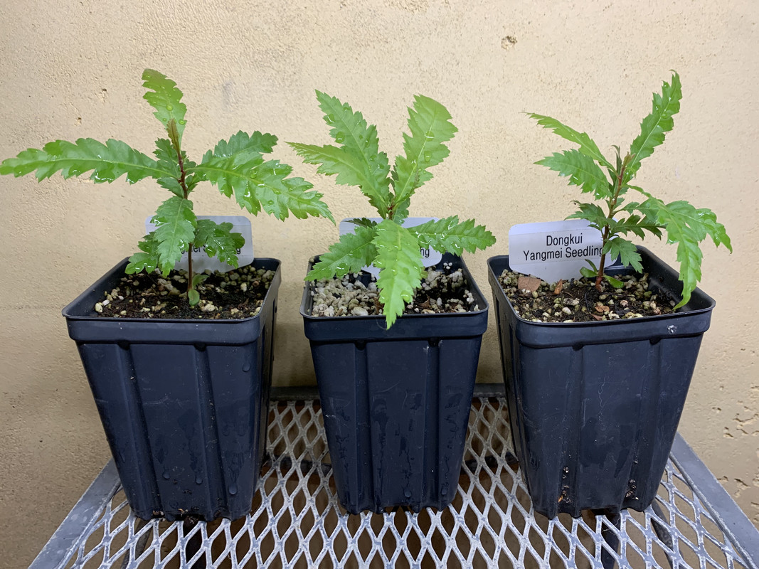 C0D52341-55F1-4712-B40E-0B80D99F552E