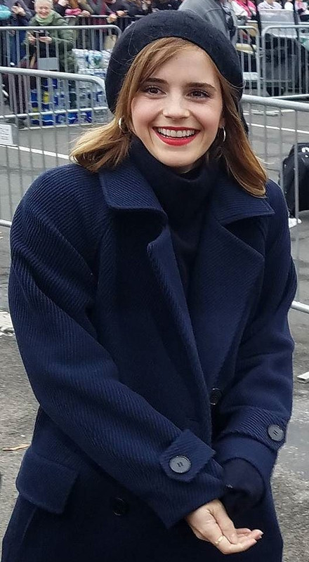 watsonuncensored.blogspot.com (36)