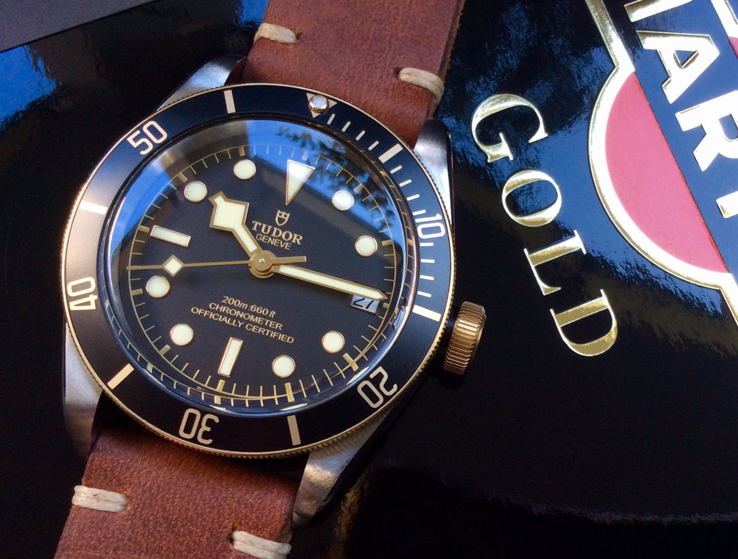 Feu de vos Black Bay Steel & Gold B4_ABED38-9_B95-4666-_B826-_D6_A8_C0_A7_B0_D6