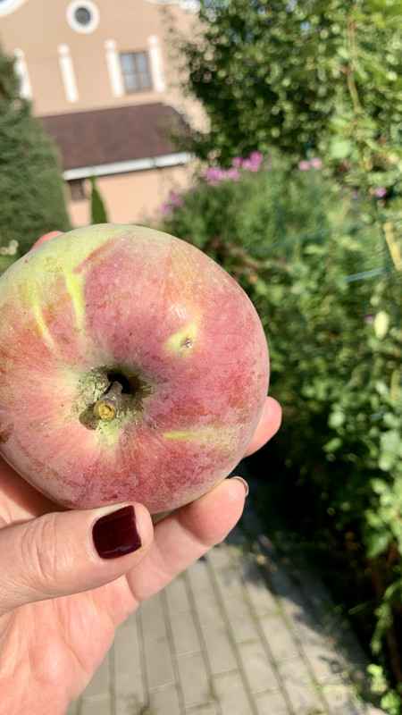 5A96DB7A-CA93-48ED-9784-5F4F6C109C93