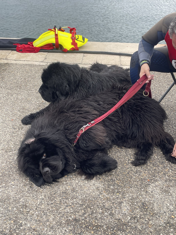 0F6BDD50-22EB-44C2-8819-71D2CCD8E9DB