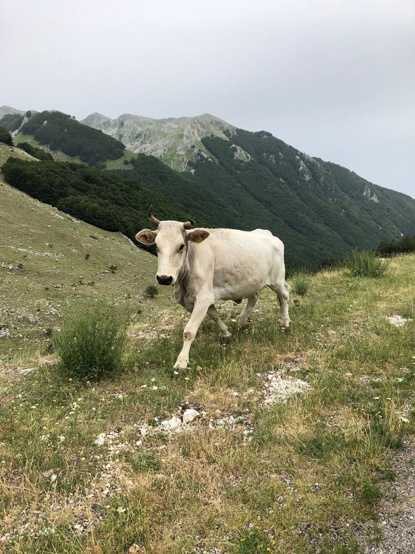 C39B45E5-ADDB-4828-A66B-3C4A9A8FBA13