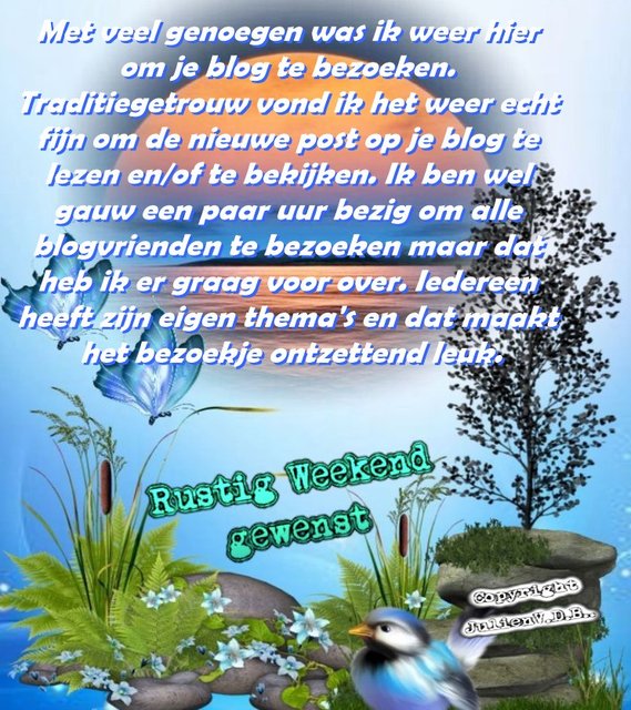 Bezoek-blog-260625