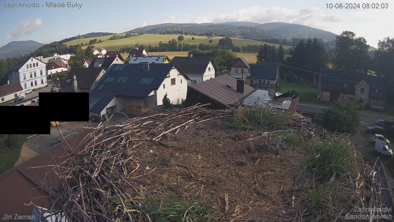 Tiešraides kamera — Mladé Buky — stārķa ligzda 11-39-32 screenshot