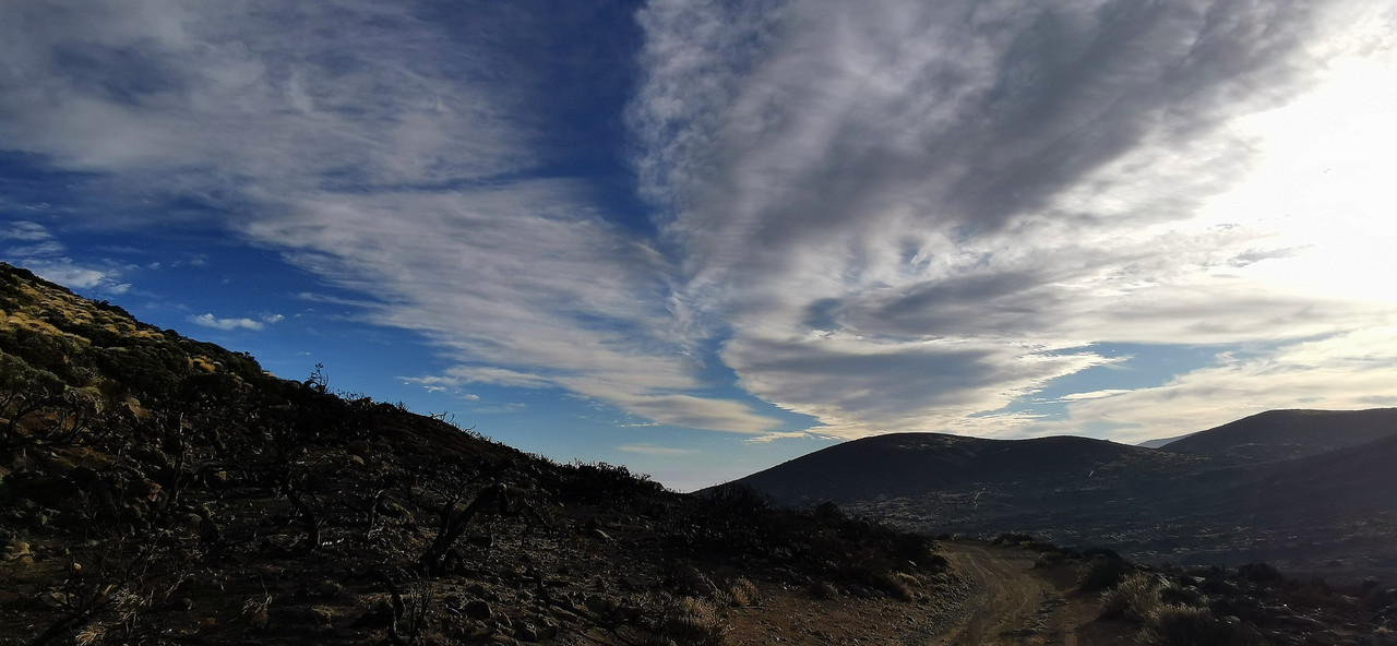 IMG_20240103_171400_edit_90088568281565