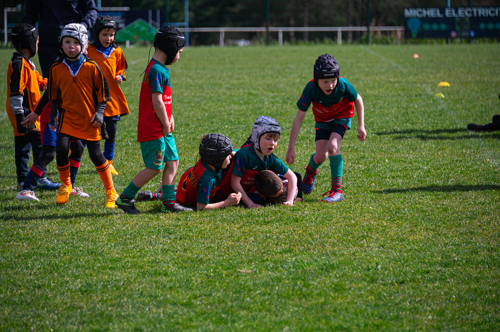 tournoi-de-latlantique-2026-adonis-griffon-78-55180400992-l