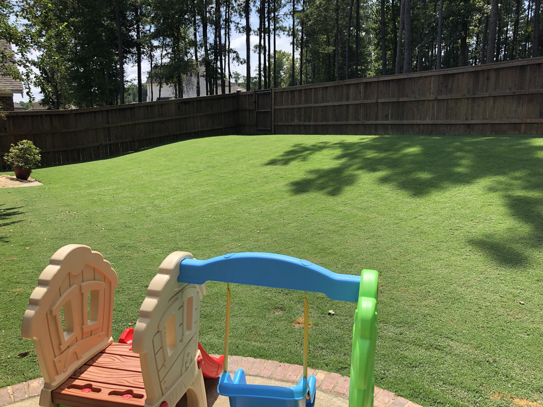 FB16BA6D-0BA2-4FC1-A0E2-03FFB5BA5ECB