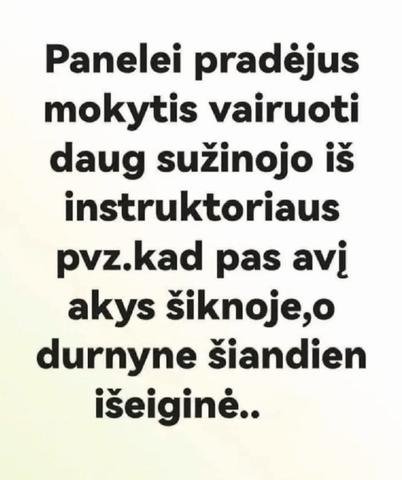 Paveikslėlis