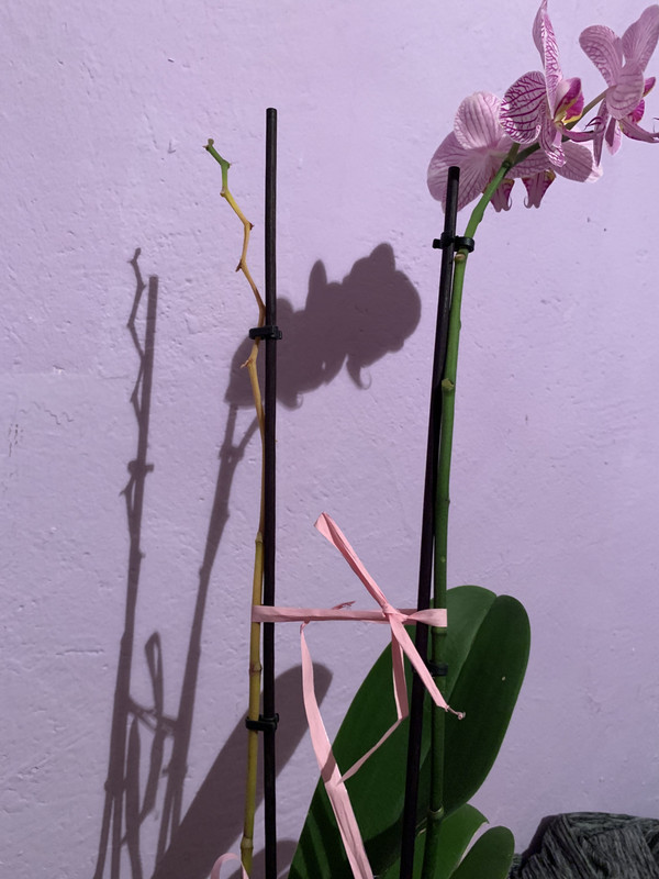 8DA98628-CD01-43C4-81EB-97F564E37DFA