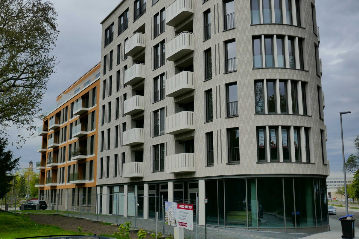 Bild: https://i.postimg.cc/cHjGMZmF/P1190779.jpg