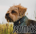 harleyavatar-seasmoke.jpg