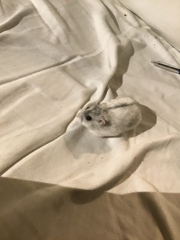 93A7685C-94D7-4F7F-9615-E27B068C4F3C