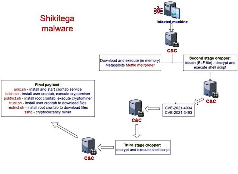 Shikitega: A Newly born Malware Program Targeting Linux
