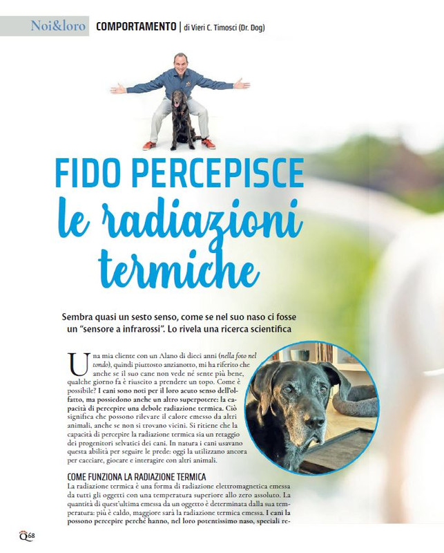 QuattroZampe Set 2023 (7)