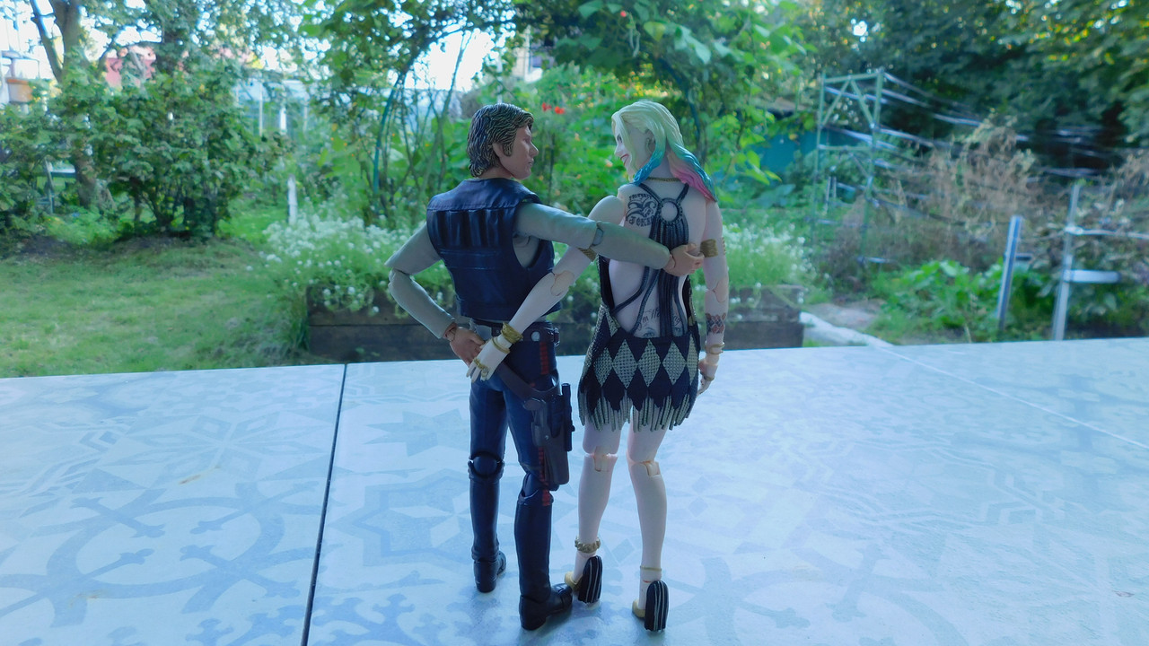 Дачно-барбейское июль, Харлинское 2-я серия 233