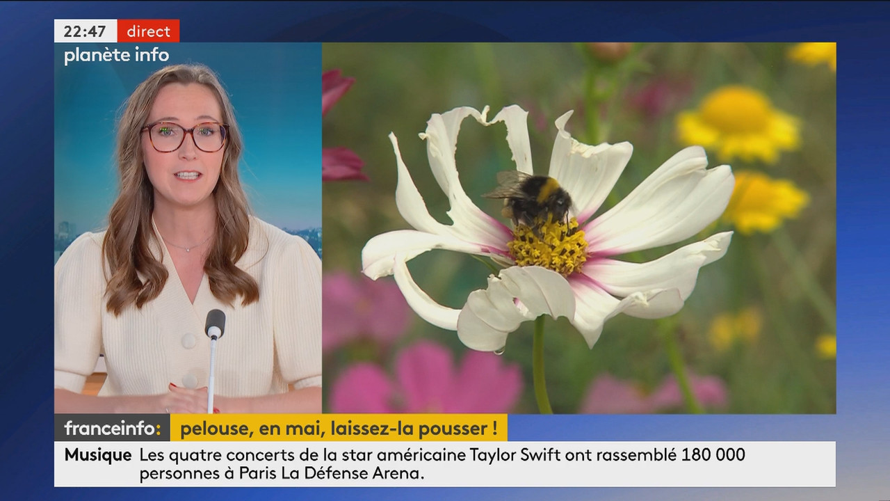 Planète info (Franceinfo)_2024_05_13_20_58_89.ts_snapshot_00.50.21.717