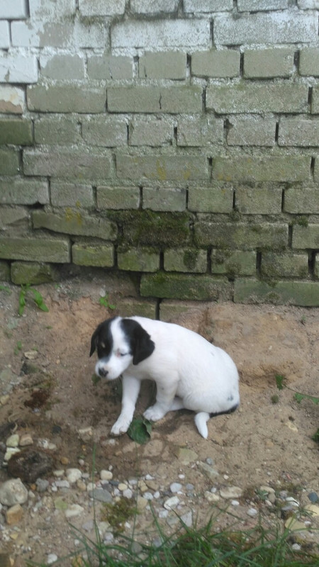 03D99689-069A-495D-A8E5-B49F04FB8FB6