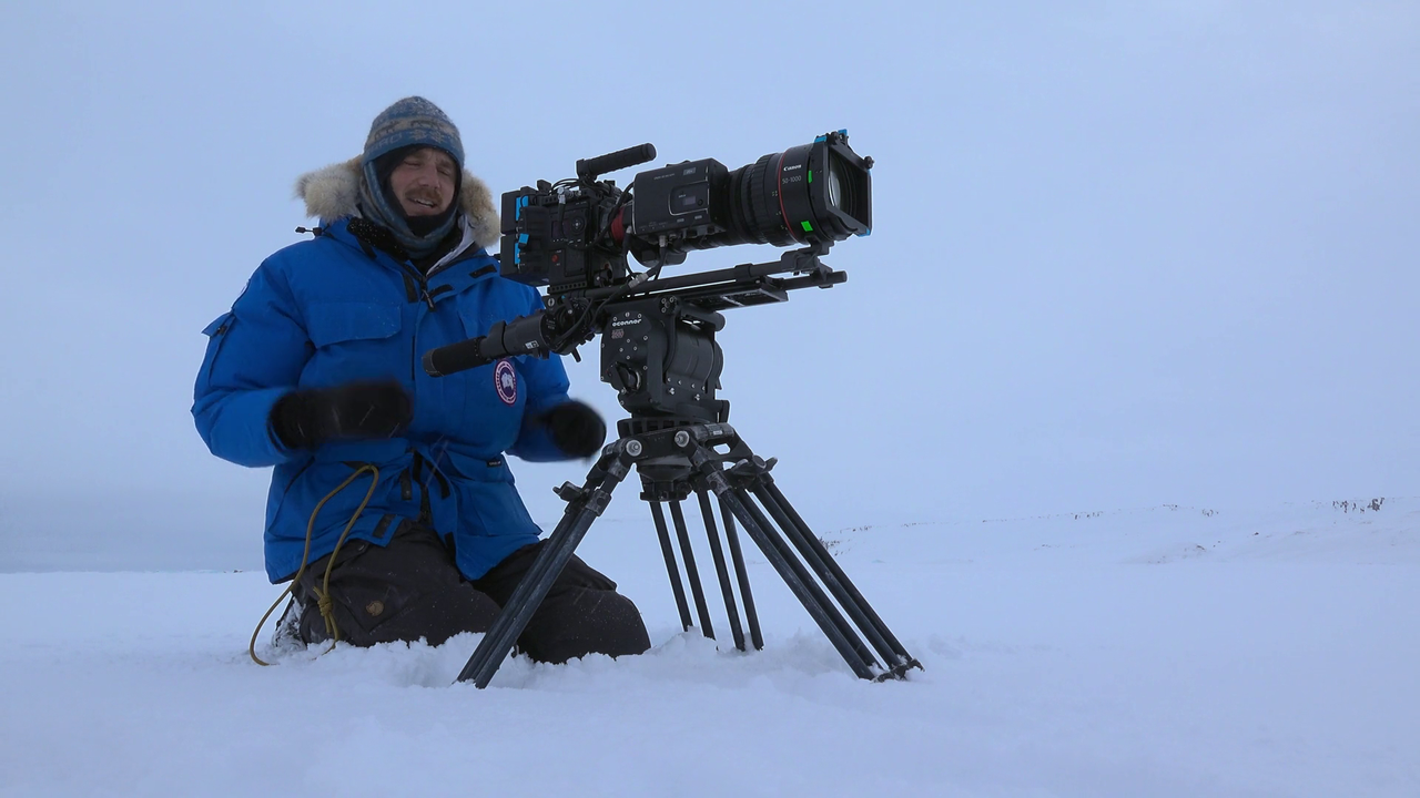 Bear Witness 2022 1080p WEB DL AAC x264 BluBeast