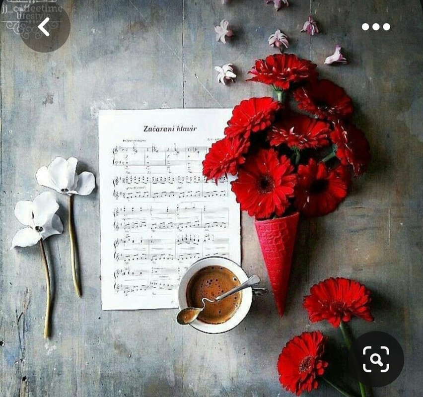 Screenshot_20230616_132335_Pinterest