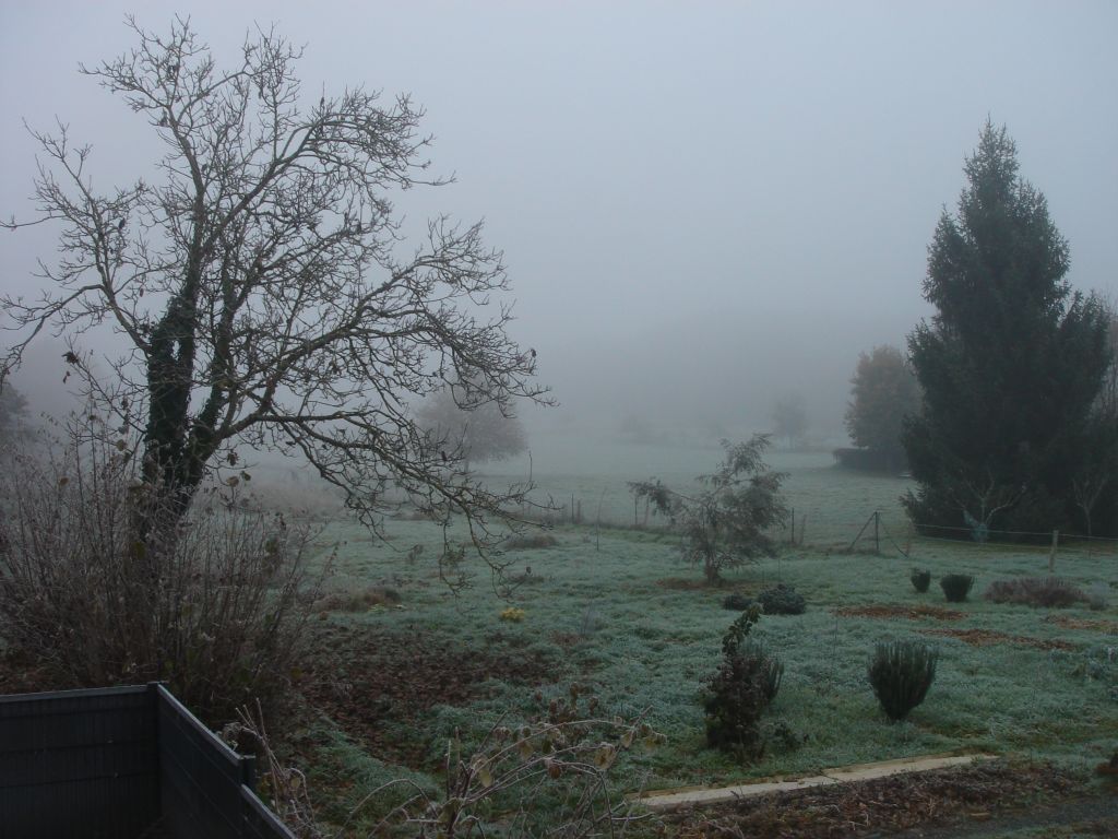 brouillard20221208.jpg