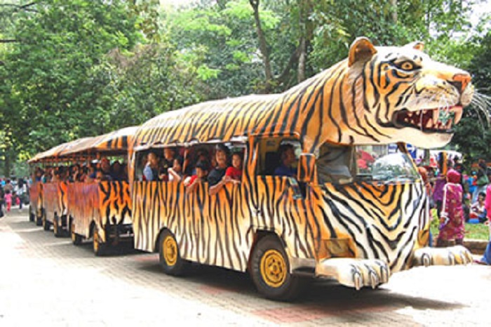 Sarana rekreasi di Taman Margasatwa Ragunan.