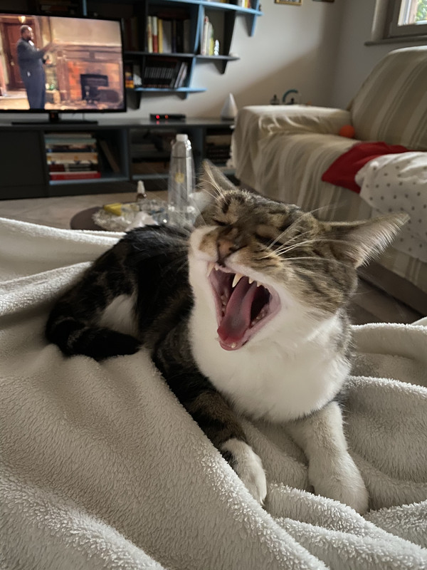 7964B141-71D4-4FA9-814A-9A1CC62A6E21