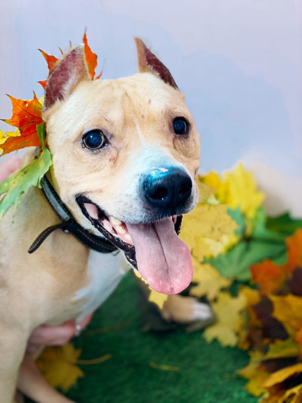 069B2D6E-B76A-4E19-8F5C-4AB64AC92662