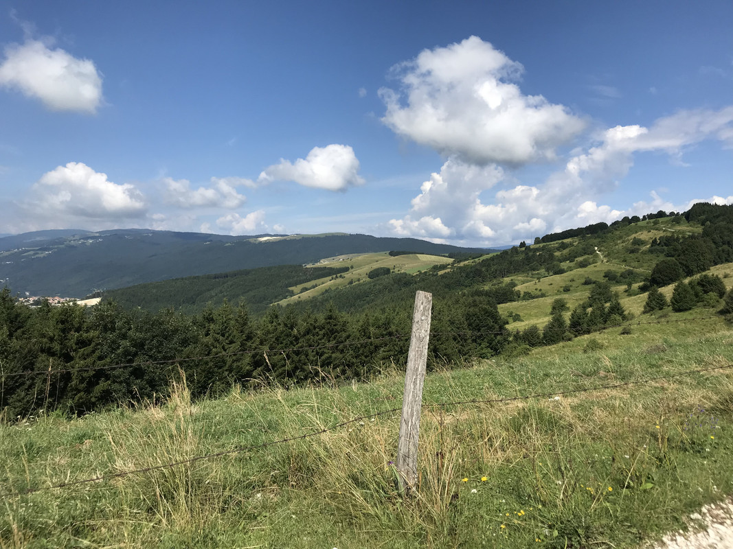 EE0F1813-D475-4335-A9F4-67E65DC82151