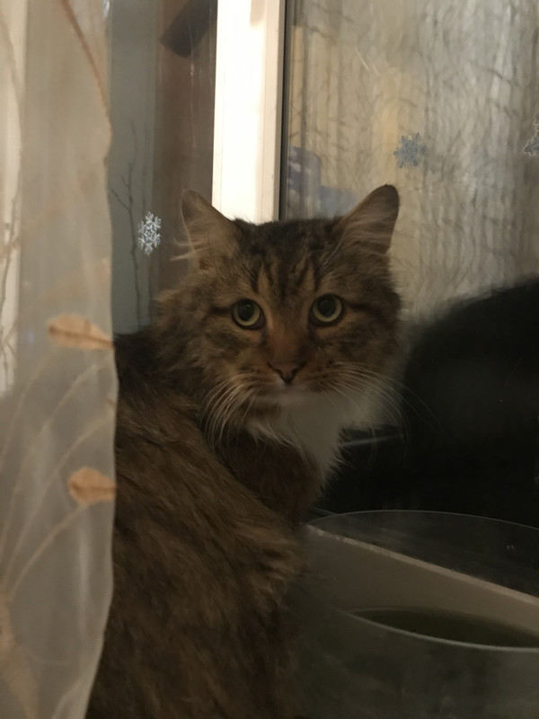 255A9A3B-5175-4541-B56D-659F64E54A46