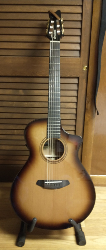 Breedlove-Nylon.jpg