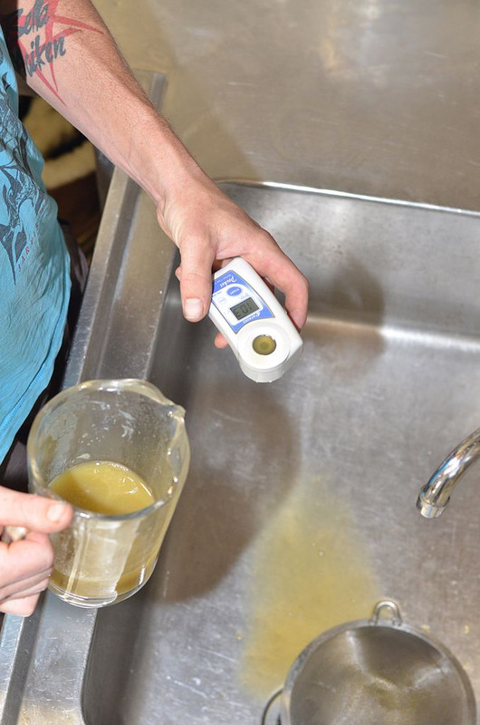 measuring-sugar-in-grape-juice.jpg