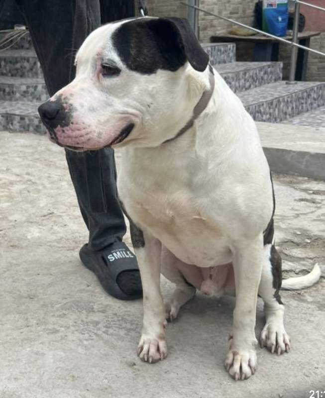 Снимок экрана 2024-04-30 в 23.04.23